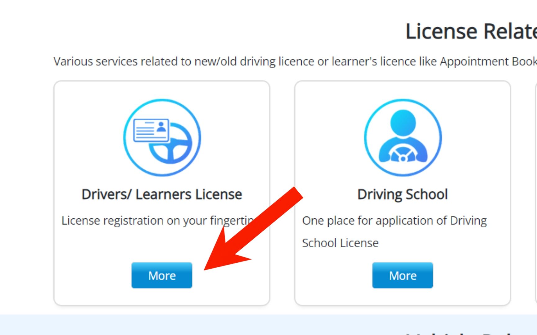 Driving Licence Related Services